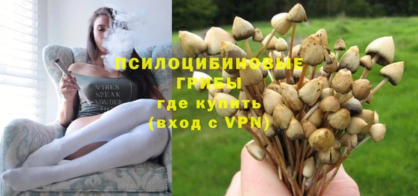 гидропоника Грязи
