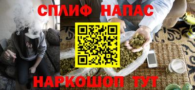 сатива Бийск