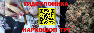 сатива Бийск