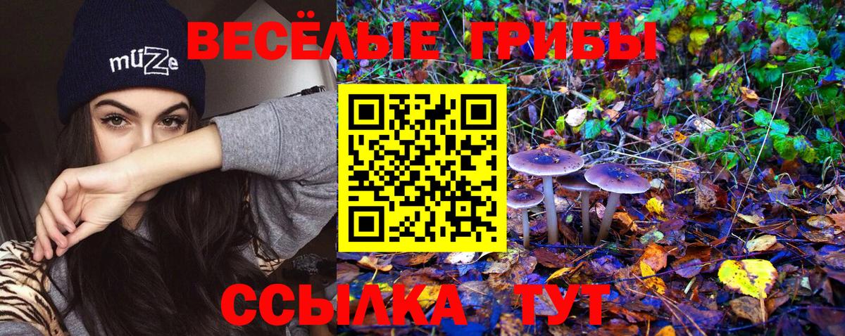 Галлюциногенные грибы прущие грибы Бугуруслан
