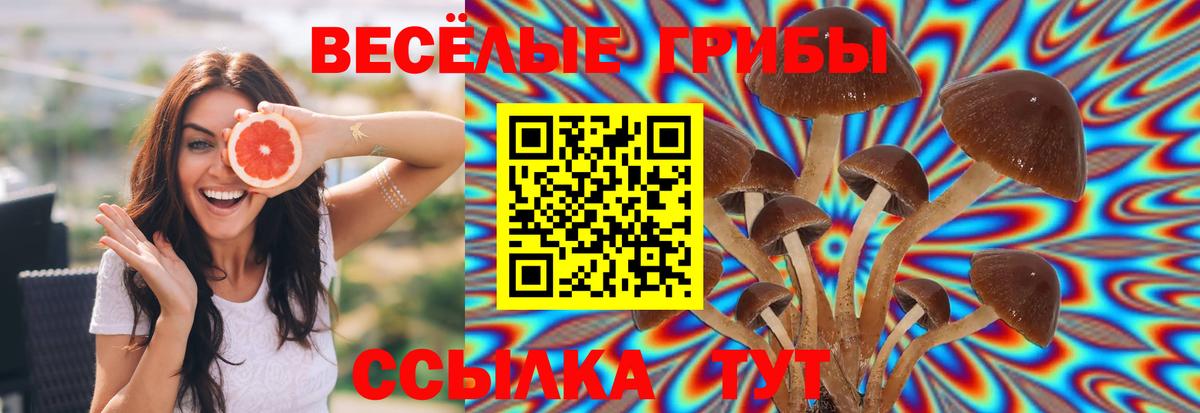Галлюциногенные грибы Magic Shrooms  Бугуруслан 